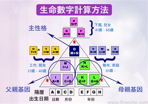 生命流年數怎麼算 羅信宜